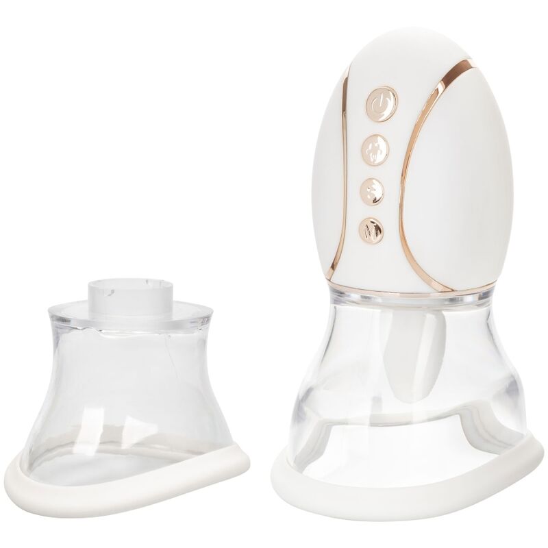 CALEXOTICS - DIE INTELLIGENTE KÖNIGIN DES VERGNÜGENS