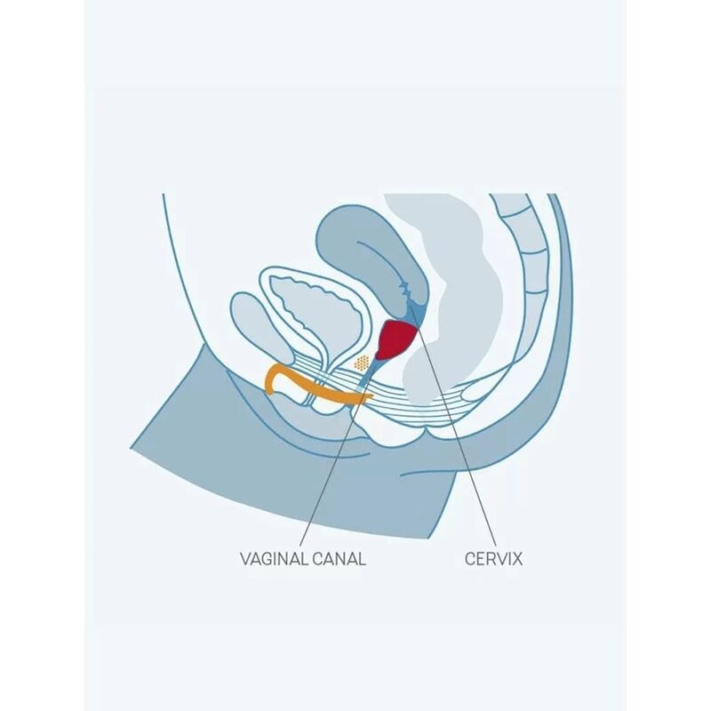 FUN FACTORY - FUN CUP SINGLE GRÖSSE B TRAUBE