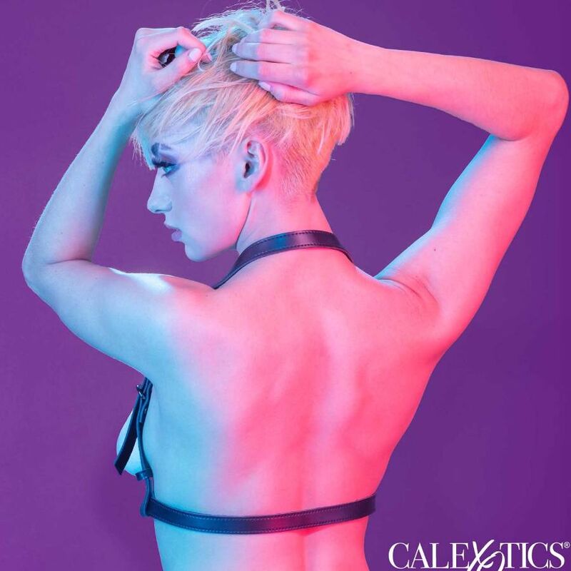 CALEXOTICS - EUPHORIA HALTER BUCKLE HARNESS PRETO