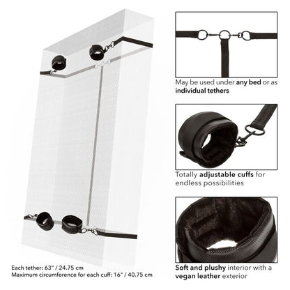 CALEXOTICS - GRENZENLOSE ROTE ZURÜCKHALTUNG