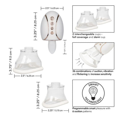 CALEXOTICS - RAINHA DO PRAZER INTELIGENTE E PODEROSA