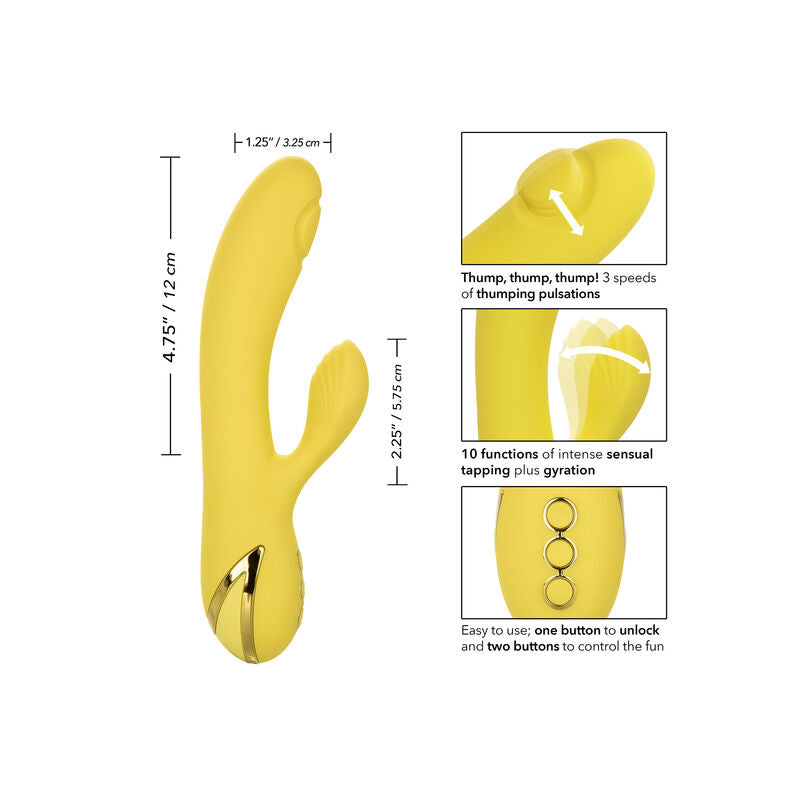 CALEXOTICS - SEDUÇÃO EM SAN DIEGO