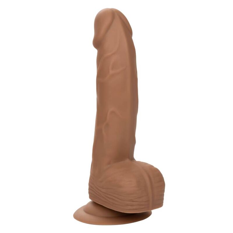 CALEXOTICS - SILICONE STUDS 15,24 CM MARROM