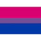 PRIDE - BISEXUAL FLAG BRACELET 90 X 150