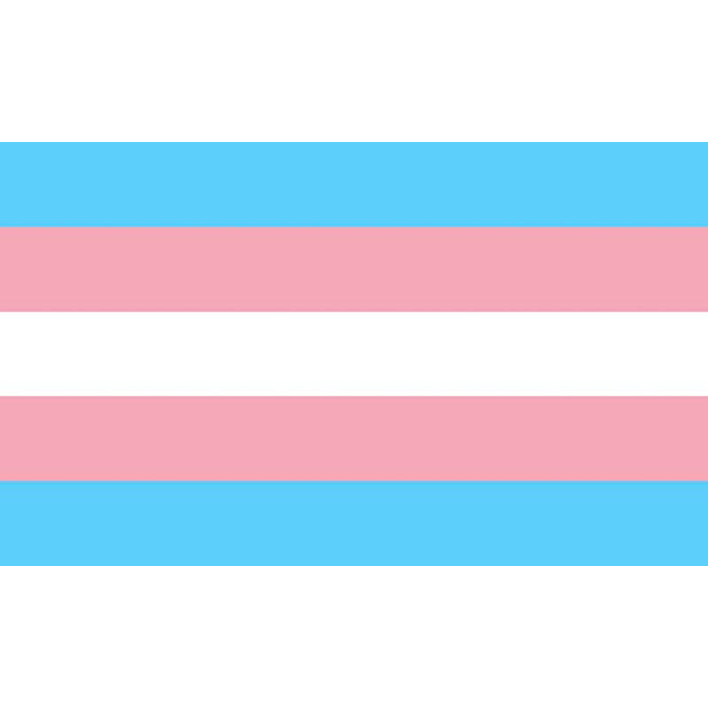 ORGULHO - BANDEIRA TRANSEXUAL 90 X 150
