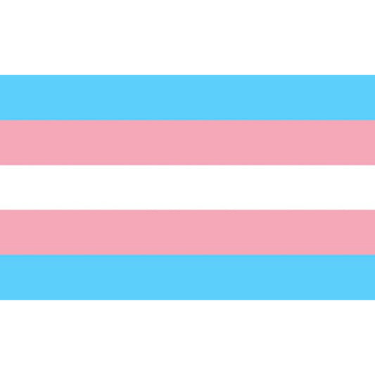 ORGULHO - BANDEIRA TRANSEXUAL 90 X 150