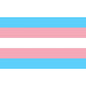 ORGULHO - BANDEIRA TRANSEXUAL 90 X 150