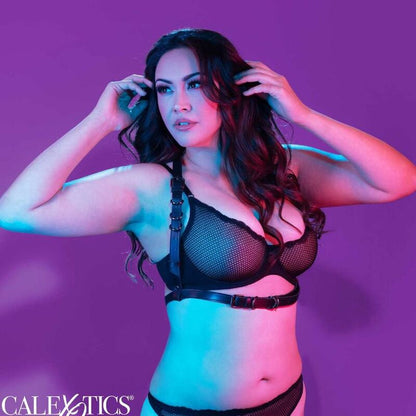 CALEXOTICS - EUPHORIA PLUS SIZE HALTER BUCKLE HARNESS PRETO