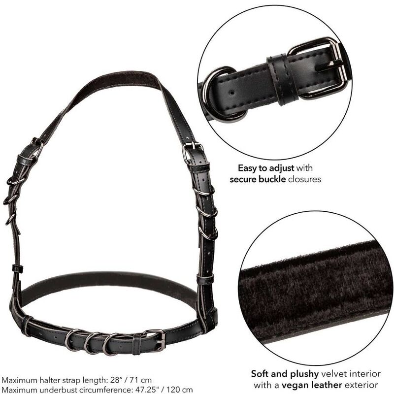 CALEXOTICS - EUPHORIA PLUS SIZE HALTER BUCKLE HARNESS PRETO