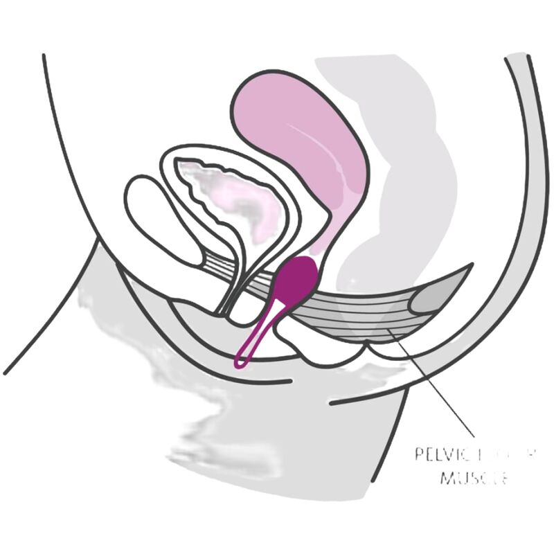 FUN FACTORY - SMARTBALL UNO BOLA PÉLVICA BRANCO / PASTEL LILÁS