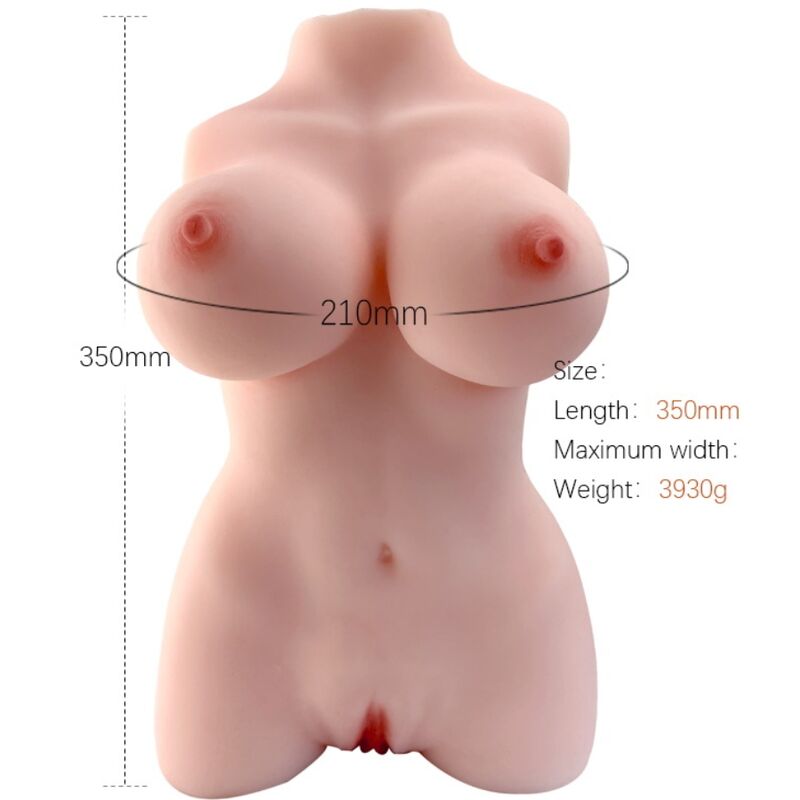 ARMONY - MODELO 3 DE TORSO FEMININO REALISTA