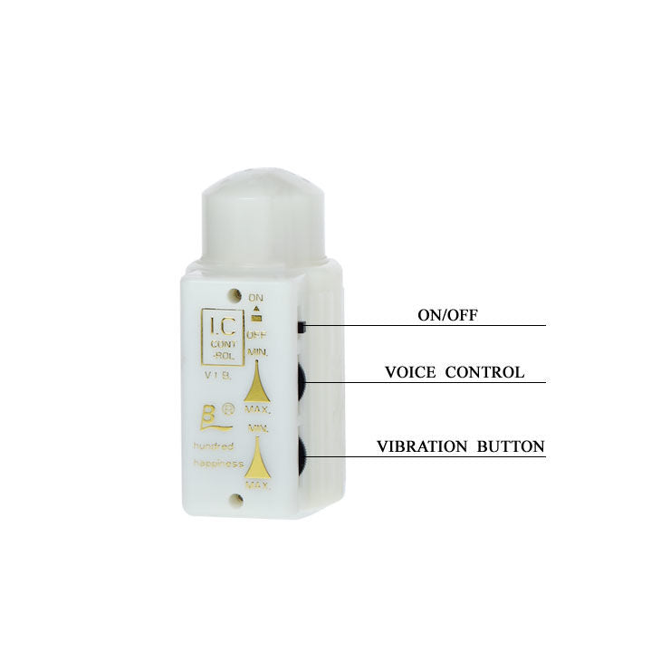 BAILE - MR BIG REALISTIC PENIS AND ANUS MASTURBADOR