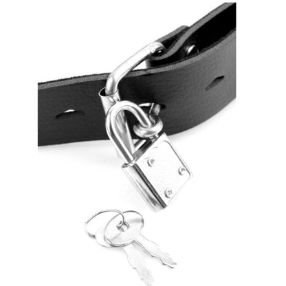 SÉRIE DE FANTASIA DE FETICHE - SÉRIE DELUXE BALL GAG COM DILDO