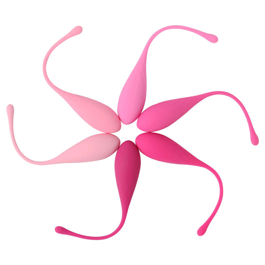 LESLIE - KEGEL FIT CONJUNTO DE TREINAMENTO DE MÚSCULOS PÉLVICOS 6 PESOS