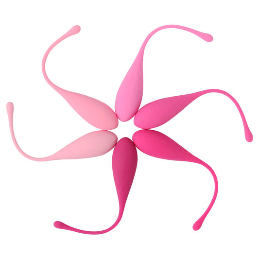 LESLIE - KEGEL FIT CONJUNTO DE TREINAMENTO DE MÚSCULOS PÉLVICOS 6 PESOS